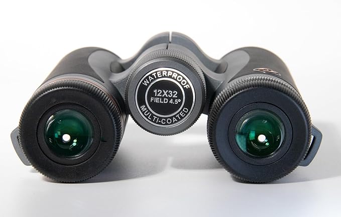 12x32 Compact Binoculars for Adults High Powered, FMC, Bak-4 Prism, Easy Focuse, Low Light Vision, Waterproof, Shockproof, Fogproof, for Sports, Bird Watching, Concerts, Travel, Cruise