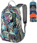 WATERFLY Small Lightweight Packable Backpack: 20l Ultra Light Foldable Travel Hiking Camping Daypack Day Pack for Man Woman