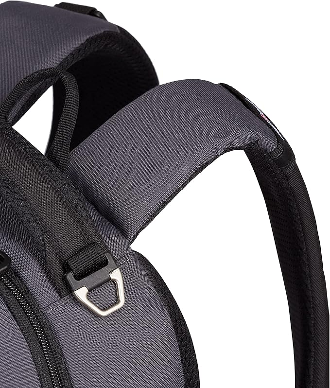 SwissGear Cecil 5505 Laptop Backpack, Dark Grey/Black, 18-Inch