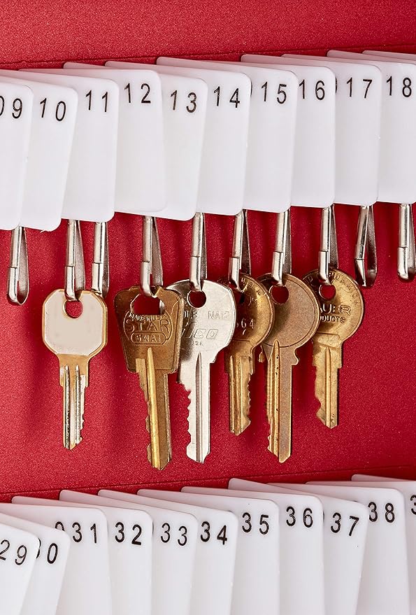 AdirOffice Key Holder Wall Mount - 60 Keys Lock Box with Code, Key Cabinet Wall Mount, Valet Parking Key Box, Car Dealer Key Cabinet - Space Saving Locking Key Box Wall Mount with Digital Lock